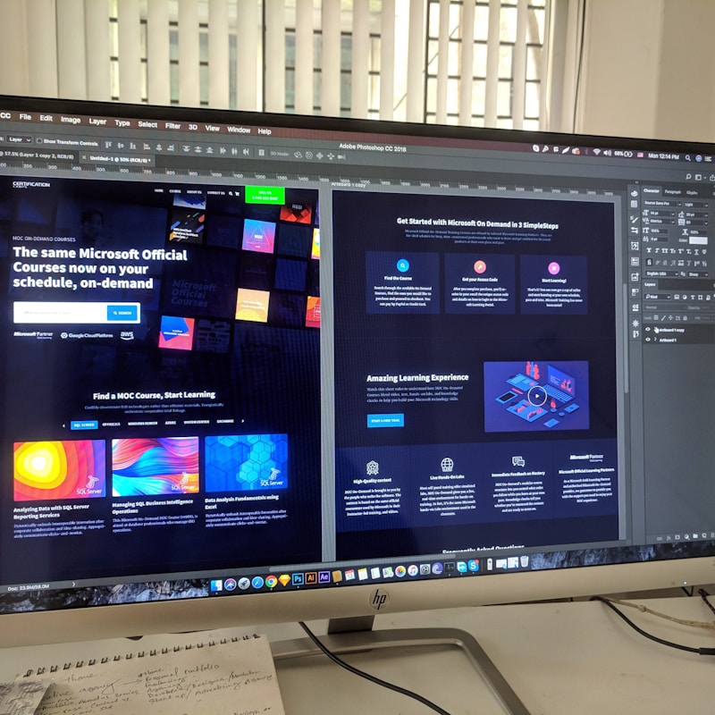 Macramé plant hanger with potted plant